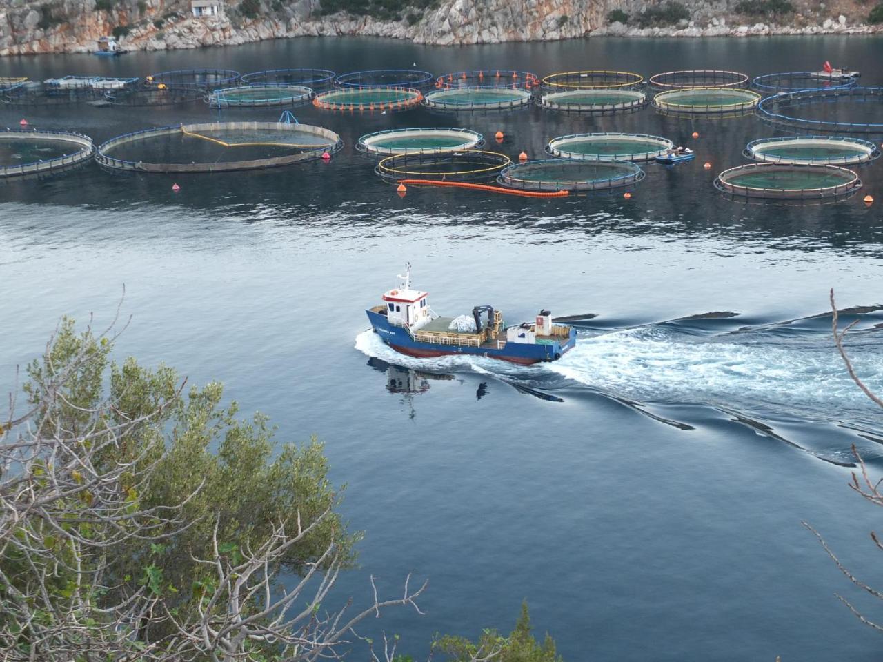 Nymfes Villas Porto Heli Bagian luar foto